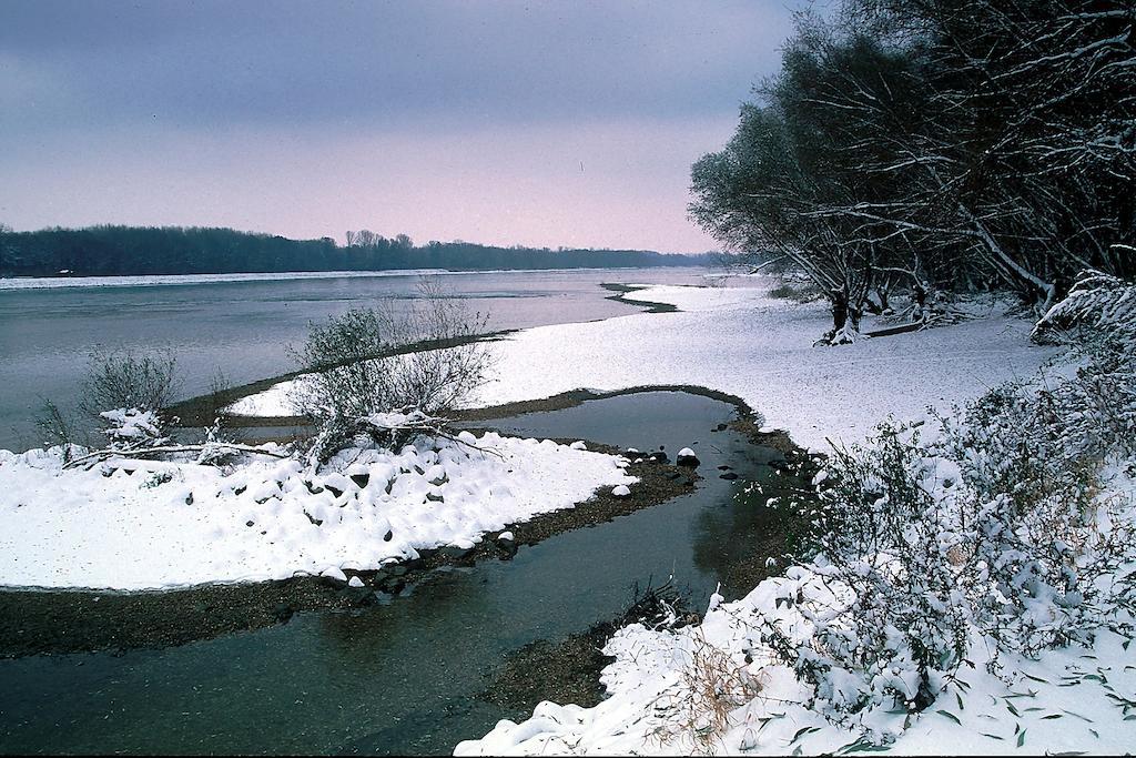 Landhotel Wachau Emmersdorf an der Donau Dış mekan fotoğraf